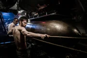 REENACTMENT - Die Wahoo-Besatzung lädt Torpedos (Dramatic Recreation) L-R: Grant Gulden, Kyle Webber.