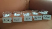 Zucker - süßes Gift? 1