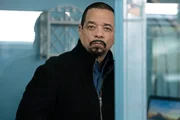 Odafin "Fin" Tutuola (Ice T)