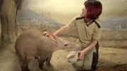 24 Jahre hat Erdferkelmann Elvis aus dem Frankfurter Zoo schon auf dem Buckel, aber er ist immer noch topfit.