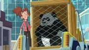 Sonia will Huan, dem Riesenpanda, dessen Gehege im Zoo überflutet wurde, ein neues Zuhause geben.