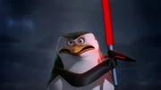 Skipper