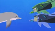 Martin und Chris lernen beim Tauchgang junge Delfine kennen.