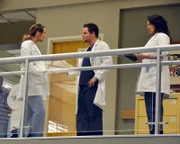Sind von der Anti-Beziehungs-Politik im Krankenhaus alles andere als begeistert: Jo (Camilla Luddington, l.), Alex (Justin Chambers, M.) und Callie (Sara Ramirez, r.) ...
