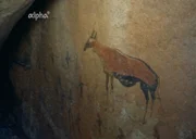 1969, auf der ersten Expedition auf den westlichen Brandberg in der westafrikanischen Namib-Wüste, entdecken die Forscher Jahrtausende alte Felsbilder.