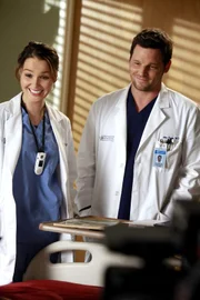 Ahnen nicht, dass sie wegen Verstoß gegen die Anti-Beziehungs-Politik suspendiert werden: Jo (Camilla Luddington, l.) und Alex (Justin Chambers, r.) ...