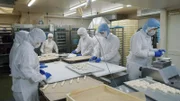 Die Nahrungsmittelproduktion gehört in Japan zu den Branchen mit akutem Arbeitskräftemangel.