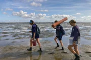 Auf der Nordseeinsel Amrum gibt es eine von vielen Einsatzstellen in Deutschland für ein Freiwilliges Ökologisches Jahr: Bei der Schutzstation Wattenmeer übernehmen die Freiwilligen zahlreiche Naturschutzaufgaben.