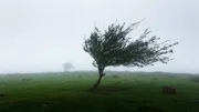 Wind ist die horizontale Bewegung von Luft. Er entsteht durch Druckunterschiede in der Atmosphäre.