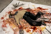 Wenn der grelle Kunsthochschulalltag plötzlich schwarz wird: Ein Stuttgarter Bildhauer und Kunstprofessor wird erschlagen im Atelier gefunden. Julian Koch (Jördis Trauer), einer der Kunsthochschüler, gerät unter dringenden Tatverdacht. Das Opfer hatte seine Schüler:innen im Unterricht oft bloßgestellt. Hat sich Julian für eine Demütigung gerächt?