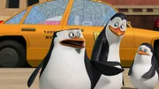 L-R: Skipper, Kowalski, Private