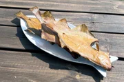 Fangfrisch aus dem Meer: Im lettischen Pitrags räuchert Andris Steinbutt und Zährten aus der Ostsee – ein gesunder Snack.