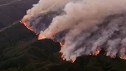 Die verheerenden Waldbrände in Südkalifornien Anfang des Jahres sind die bis dato teuerste Naturkatastrophe in der Geschichte der Vereinigten Staaten