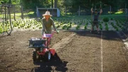 Martha Stewart and her gardener Ryan McCallister.
