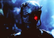 Als sie drei Wesen ihres ehemaligen Borg-Kollektivs trifft, durchlebt "Seven of Nine" (Jeri Lynn Ryan) noch einmal den Absturz ihres Borg-Schiffes und ihren Kampf ums Überleben auf einem fremden Planeten...