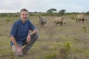 Die Wilderei ist einer der größten Faktoren im Artensterben. Viele Tiere, wie etwa Nashörner, stehen am Rand des Aussterbens.