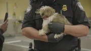 Officer Graham hält einen kleinen Welpen, den ein Reisender in die Vereinigten Staaten bringt. (Kredit: National Geographic)