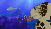 Chris und Martin beschließen kurzerhand, eine Meeresschildkröte als Vorlage für ihre Tortuga heranzuziehen. Denn sie fänden es schön, wenn ihr Schiff tauchen und schwimmen könnte.