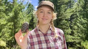 Nina mit Zapfen: Die Früchte der Zirbelkiefer öffnen sich nicht von selbst - aufhacken kann sie der Tannenhäher.
