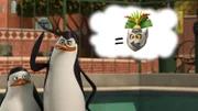 L-R: Private, Kowalski