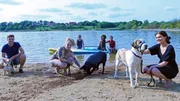 Pia mit den tierischen Teilnehmern des Schwimmkurses (Foto v.l.): Feeline, Django, Justus und Güntha.