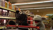 Wolle und Pferd sind begeistert und wollen sich ein Planschbecken kaufen.