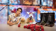 Ob Woozle es schafft, sich ganz gewöhnlich zu verhalten? Kurzerhand wird der verrückte Woozle zum Spießer-Woozle.