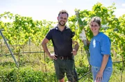 Lisa und Markus Schäfer vom Rittergut Vlatten in Heimbach. Ihr großer Traum ist eigener Wein. Dafür haben sie nach 100 Jahren Ruhezeit einen Südhang, den "Wingert" des Ritterguts, mit neuen Reben bestückt.