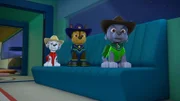 L-R: Marshall, Chase, Rocky