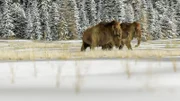 Mammoth   The use of broadcast-related material is only permitted with reference and link to RTL+.