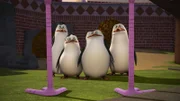 L-R: Kowalski, Private, Skipper, Rico