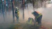Heißer Sommer - für Brandenburgs Wälder höchste Gefahr. Nirgends in Deutschland brennt es so häufig wie in den Kiefernforsten zwischen Prignitz und Elbe-Elster-Land. Über 500 Waldbrände zählten die Behörden hier allein 2022. An besonderen Hotspots, wie in der Region Schenkenländchen, rücken die Freiwilligen Feuerwehren mehrmals pro Woche zum Löschangriff in die umliegenden Wälder aus. - Löschangriff im Kiefernwald.