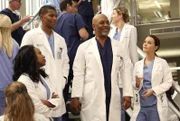 Cristina wurde für den bedeutenden Harper Avery Award nominiert. Shane (Gaius Charles, 2.v.l.), Stephanie (Jerrika Hinton, l.), Jo (Camilla Luddington, r.) und Richard (James Pickens jr., 3.v.r.) freuen sich für sie ...