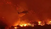 Mehr als 16.000 Häuser wurden vernichtet, darunter auch zahlreiche Villen der Hollywood-Prominenz.