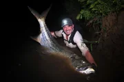 Cyril hält einen Tarpon, ein legendäres Spitzenraubtier, das für seine Kraft und explosiven Sprünge bekannt ist. Sie laichen im Meer und haben die seltene Fähigkeit, auf ihrer Jagd nach Nahrung in Brack- und Süßwasser zu wandern, wo sie bis zu unglaublichen drei Metern Länge und über 300 Pfund wachsen können.