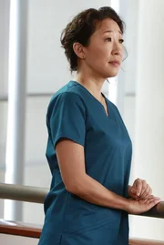 Während Cristina (Sandra Oh) durch eine unerwartete Begegnung ihre Zukunft überdenkt, arbeiten Derek und Amelia bei einer schwierigen Operation zusammen ...