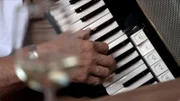 Schrammelmusik, Akkordeon.