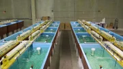 Fort Lauderdale, FL, USA: Living Color's quarantine facility is highly functional.