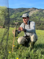 Der Ornithologe Professor Wolfgang Goymann vom Max-Planck-Institut erforscht im Murnauer-Moos den Rückgang der Braunkehlchen. Das Braunkehlchen ist Vogel des Jahres 2023 und in ganz Deutschland gefährdet. Ein Lockvogel hilft Männchen zur Bestandsaufnahme ins Netz gehen zu lassen.