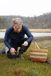 Forestier Peninsula, Tasmania - Gordon Ramsay harvests fresh samphire.