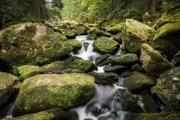 Großer Kamp, Höllfall, Niederösterreich.