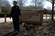 Ein K9 steht neben seinem CBP-Offizier vor dem National Detector Dog Training Center des US-Landwirtschaftsministeriums in Atlanta, Georgia (National Geographic for Disney).