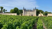 Chateau Pichon Baron.