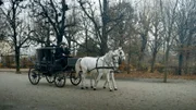 Kutschenfahrt im Park.