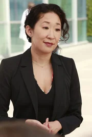 Richard stellt die Verbindung der Klinik mit der Harper Avery Stiftung infrage, während Cristina (Sandra Oh) sich auf den Weg nach Zürich macht, wo sie mit ihrer Vergangenheit konfrontiert wird ...