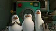 L-R: Private, Skipper, Kowalski