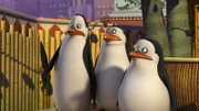 L-R: Kowalski, Rico, Private