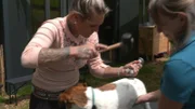 Tiertherapeutin Franziska Hartl (l.) versucht die Faszien von Daniela Pfahlers Hund Joshi durch Klopfen zu lockern.