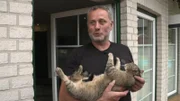 Thomas Siemers` Katze Bonnie hat eine wunde Stelle, da sie sich zu viel leckt.