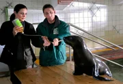 Dr. Susanne Mertens (Elisabeth Lanz, l.) hat eine Mischung aus Senf und Rizinusöl zubereitet und versucht nun mit Connys (Thorsten Wolf, r.) Hilfe, der kranken Seebärin Diana die ungewöhnliche Medizin zu verabreichen, damit sie den Fremdkörper in ihrem Darm auf natürlichem Weg los wird.